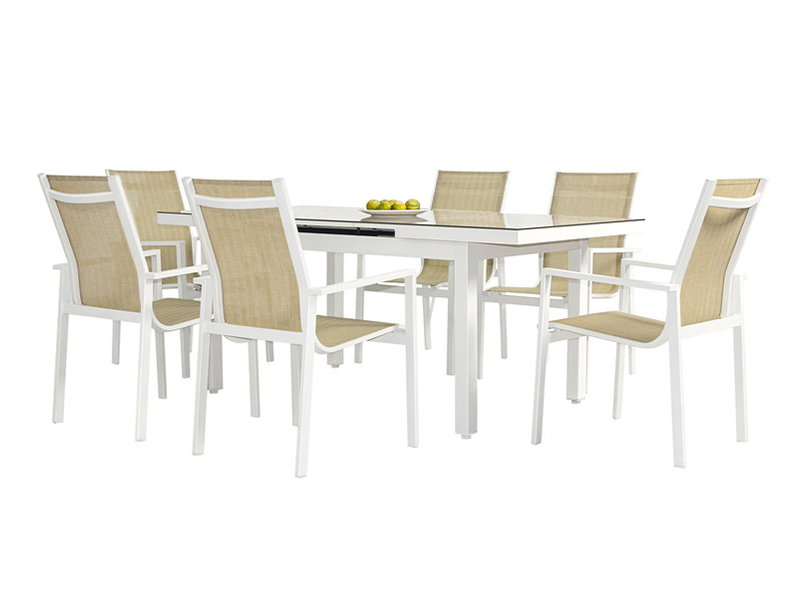 Tex Dining Set YQ-105